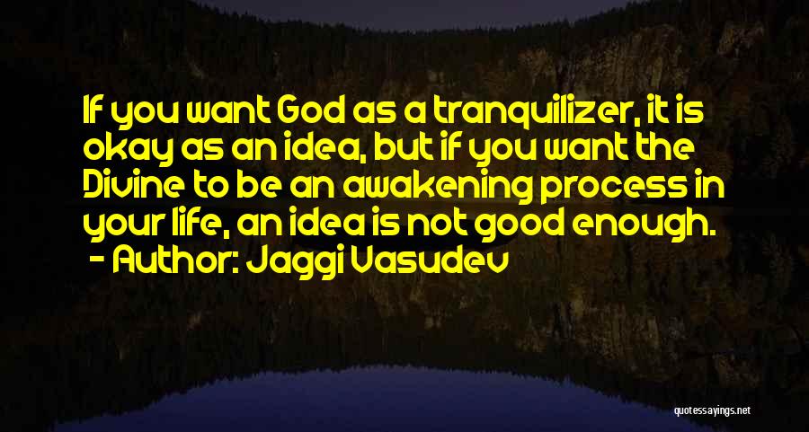 Want Peace In Life Quotes By Jaggi Vasudev