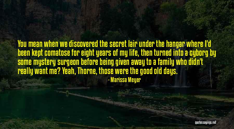 Want Some Good Quotes By Marissa Meyer Want Some Good Quotes By Marissa Meyer