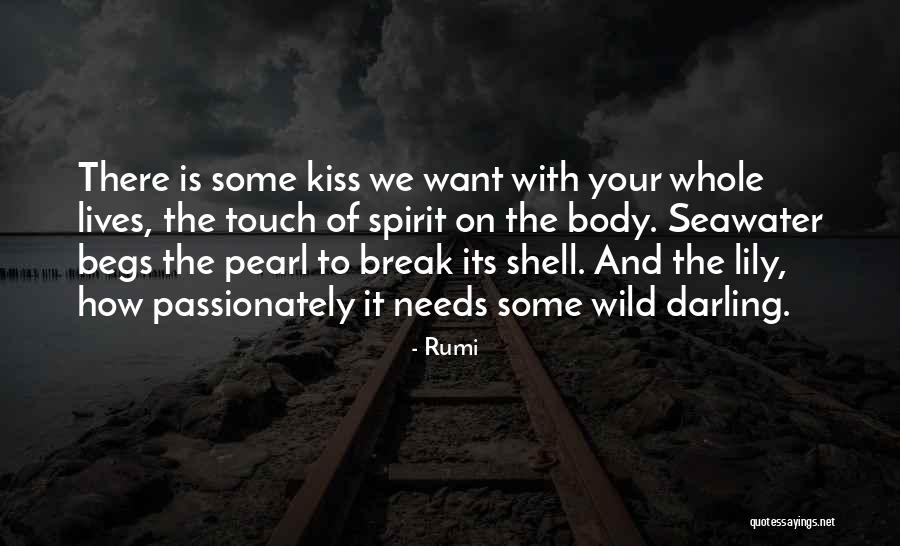 Want Some Love Quotes By Rumi Want Some Love Quotes By Rumi