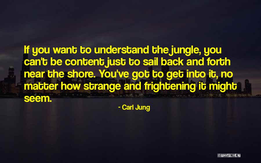 Want To Be Near You Quotes By Carl Jung