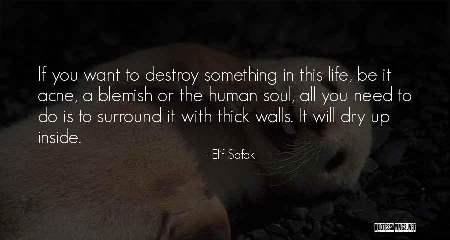 Want To Do Something In Life Quotes By Elif Safak