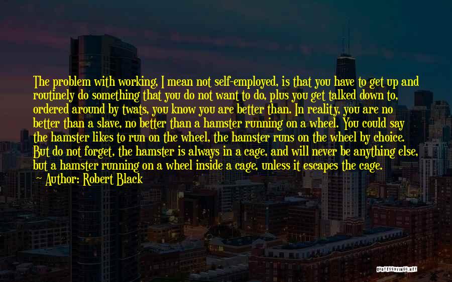 Want To Get To Know You Better Quotes By Robert Black