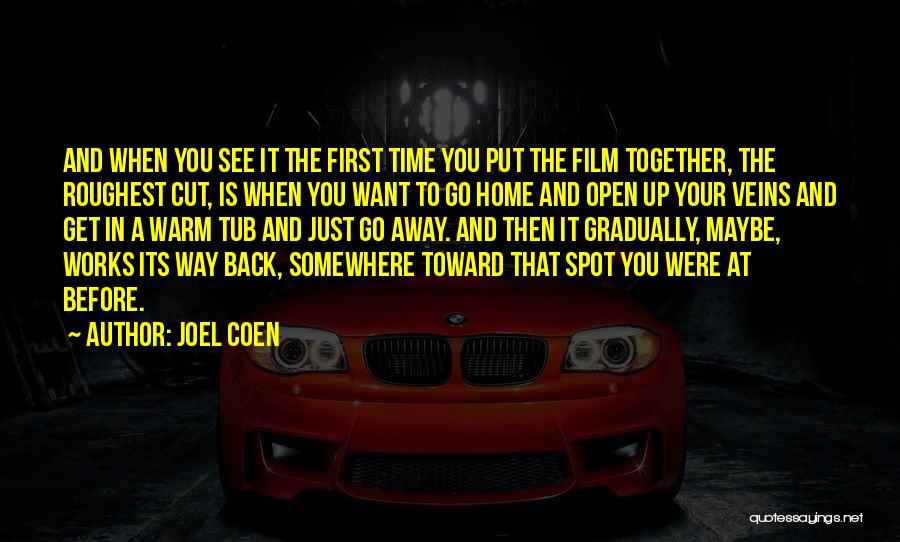 Want To Go Back Home Quotes By Joel Coen