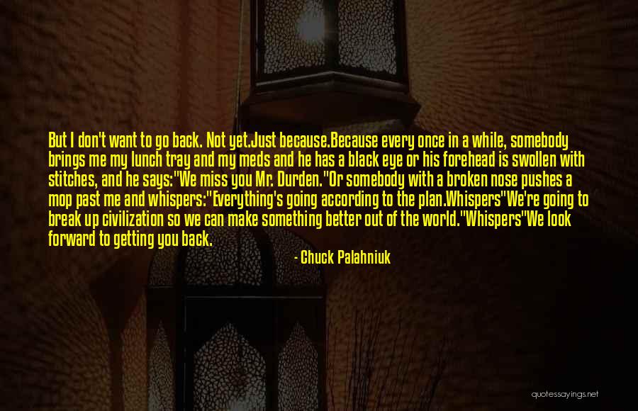 Want To Go Back To The Past Quotes By Chuck Palahniuk