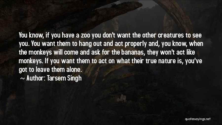 Want To Hang Out Quotes By Tarsem Singh