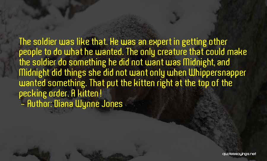 Want To Make Things Right Quotes By Diana Wynne Jones