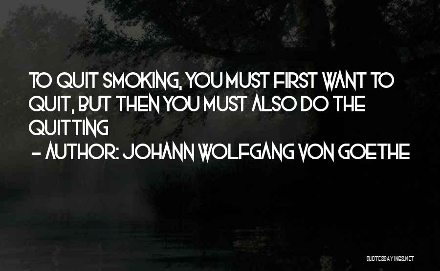Want To Quit Quotes By Johann Wolfgang Von Goethe