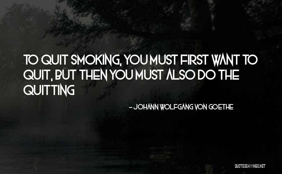 Want To Quit Quotes By Johann Wolfgang Von Goethe