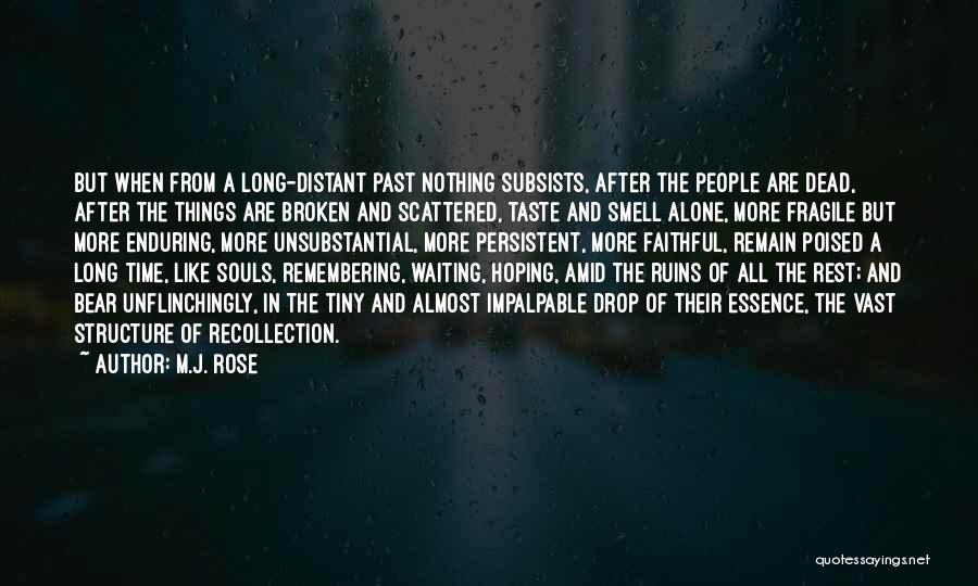Want To Remain Alone Quotes By M.J. Rose