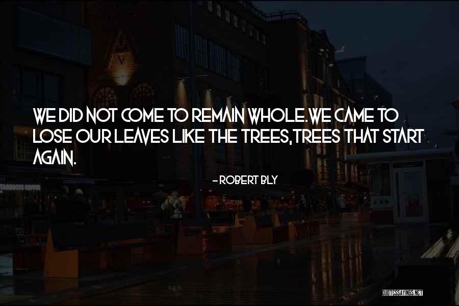 Want To Remain Alone Quotes By Robert Bly Want To Remain Alone Quotes By Robert Bly