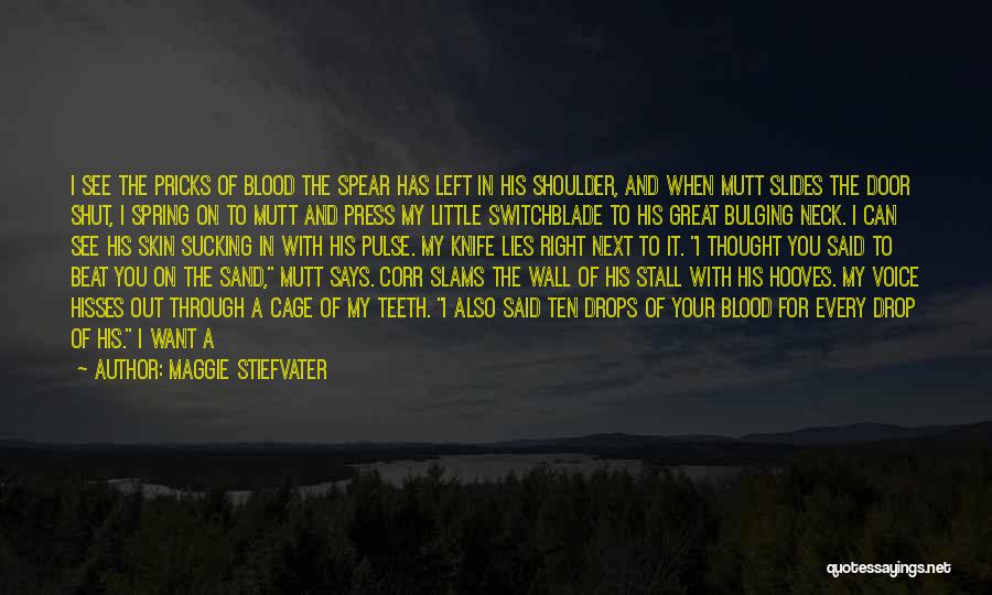 Want To See Him Quotes By Maggie Stiefvater