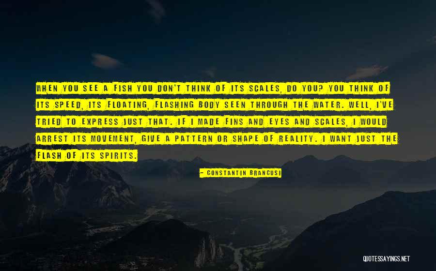 Want To See Quotes By Constantin Brancusi Want To See Quotes By Constantin Brancusi