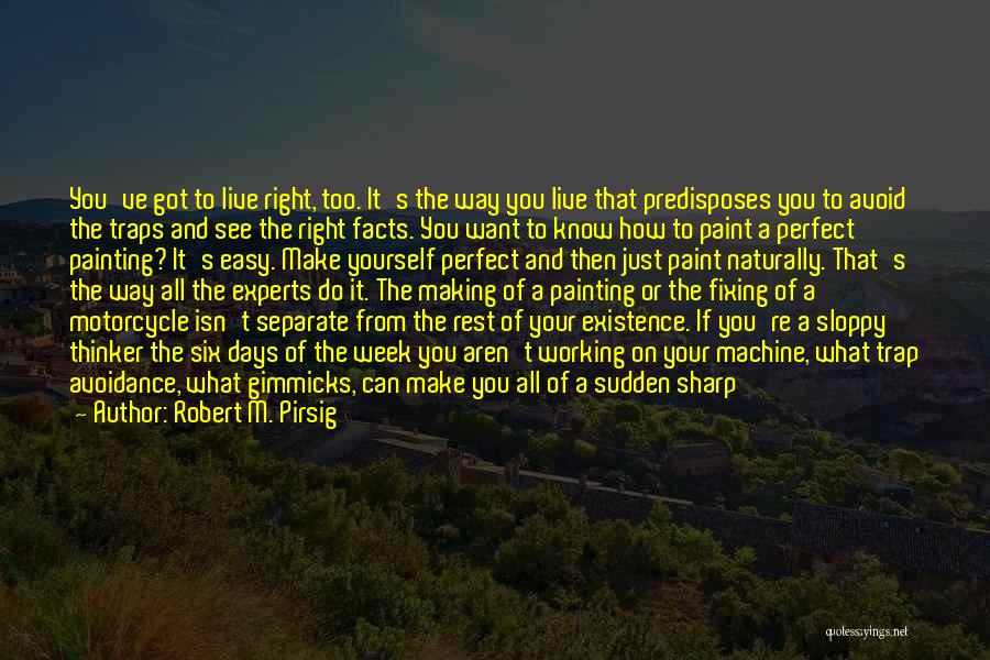 Want To See You Fall Quotes By Robert M. Pirsig