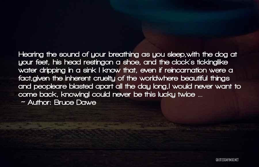 Want To Sleep All Day Quotes By Bruce Dawe