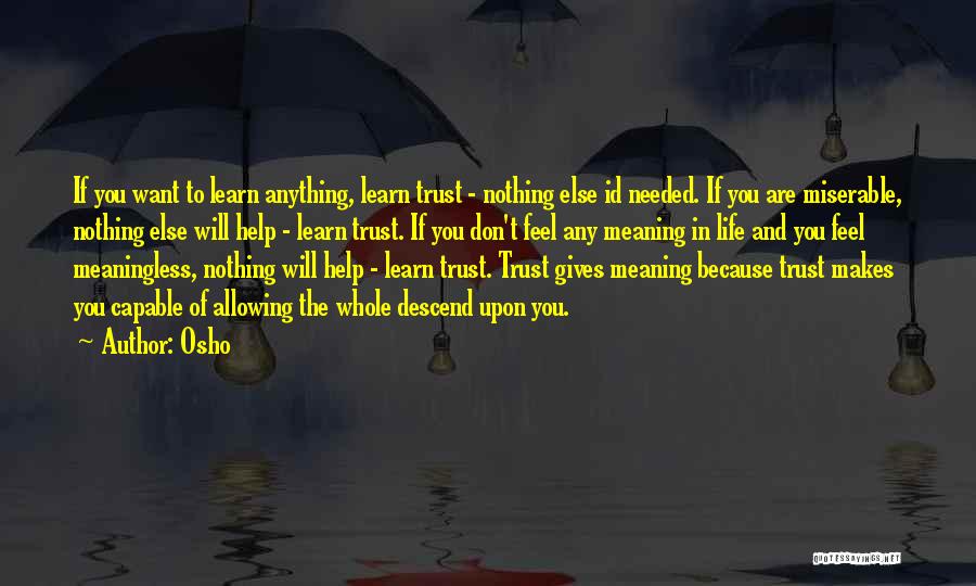 Want To Trust You Quotes By Osho