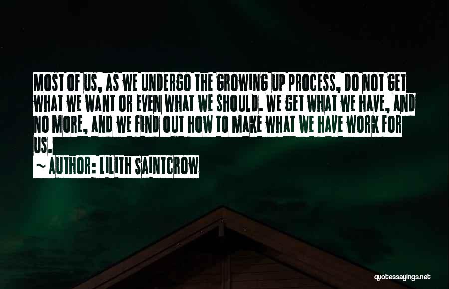 Want Us To Work Quotes By Lilith Saintcrow