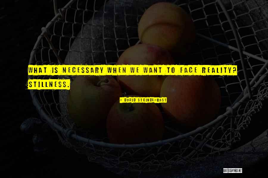 Want What Quotes By David Steindl-Rast