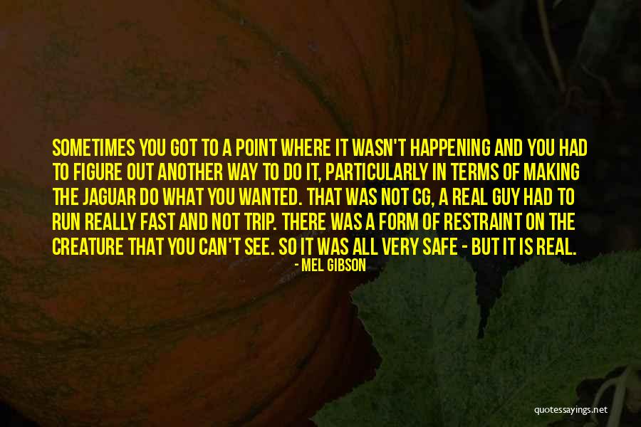 Wanted And On The Run Quotes By Mel Gibson