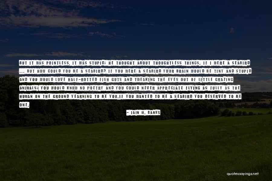 Wanted Your Love Quotes By Iain M. Banks Wanted Your Love Quotes By Iain M. Banks
