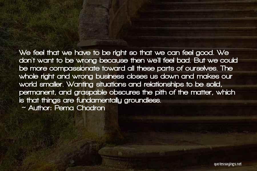 Wanting So Bad Quotes By Pema Chodron