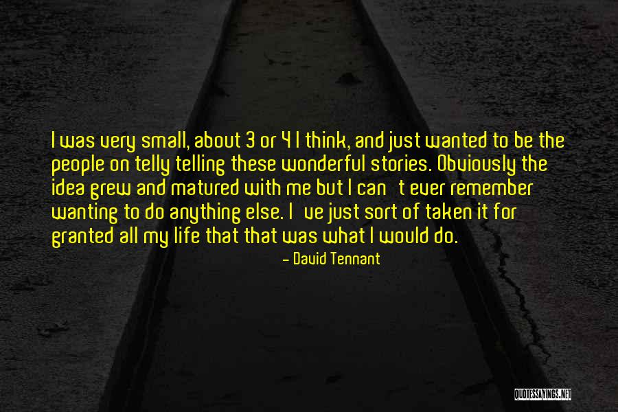 Wanting Someone Else's Life Quotes By David Tennant Wanting Someone Else's Life Quotes By David Tennant