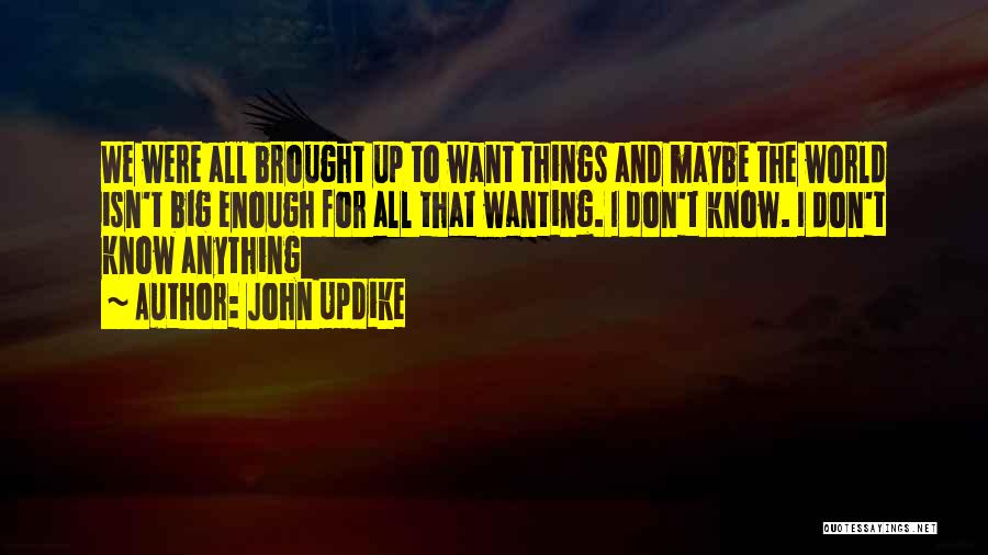 Wanting Someone More Than Anything Quotes By John Updike