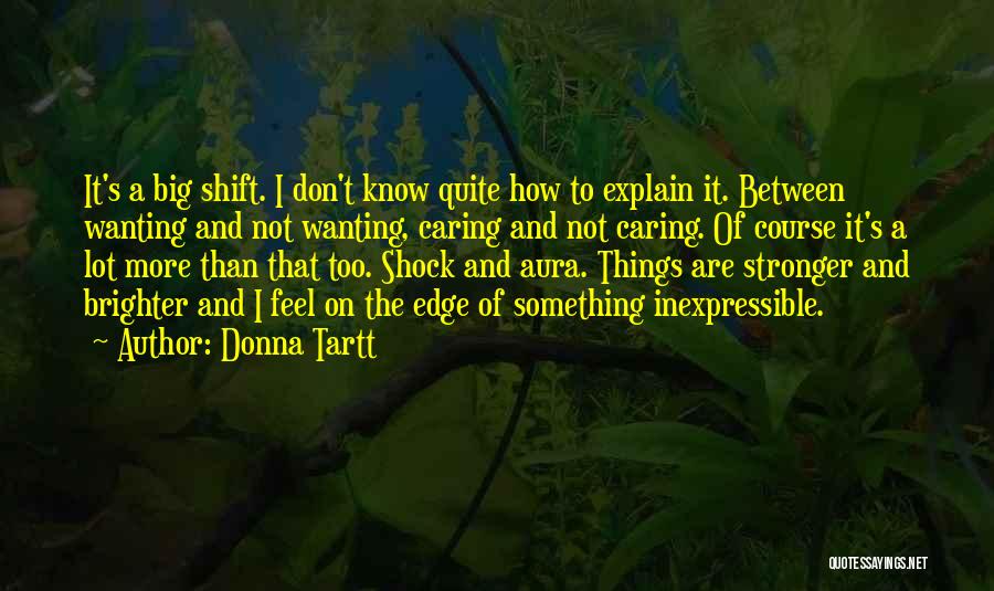 Wanting Something More Quotes By Donna Tartt