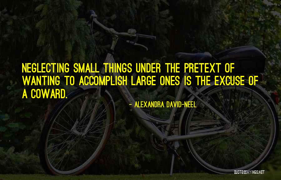 Wanting To Accomplish Something Quotes By Alexandra David-Neel