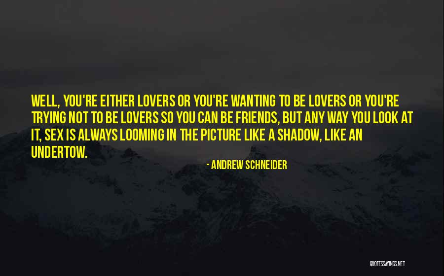 Wanting To Be More Than Friends With Someone Quotes By Andrew Schneider