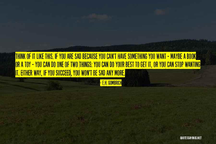 Wanting To Do More Quotes By E.H. Gombrich Wanting To Do More Quotes By E.H. Gombrich