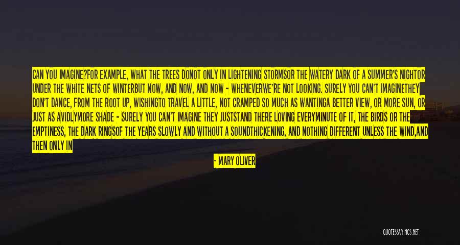 Wanting To Do More Quotes By Mary Oliver Wanting To Do More Quotes By Mary Oliver