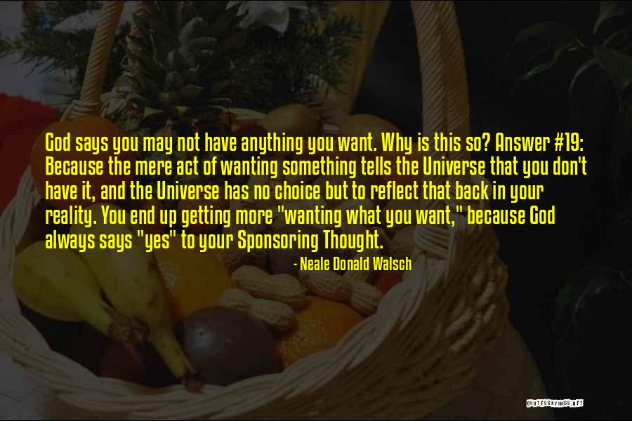 Wanting What You Don't Have Quotes By Neale Donald Walsch