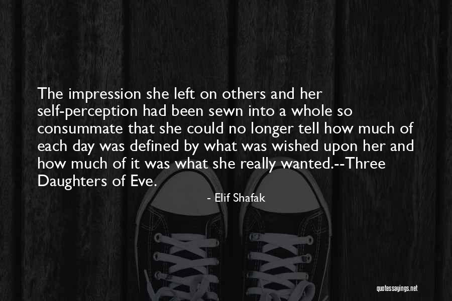 Wants And Wishes Quotes By Elif Shafak Wants And Wishes Quotes By Elif Shafak