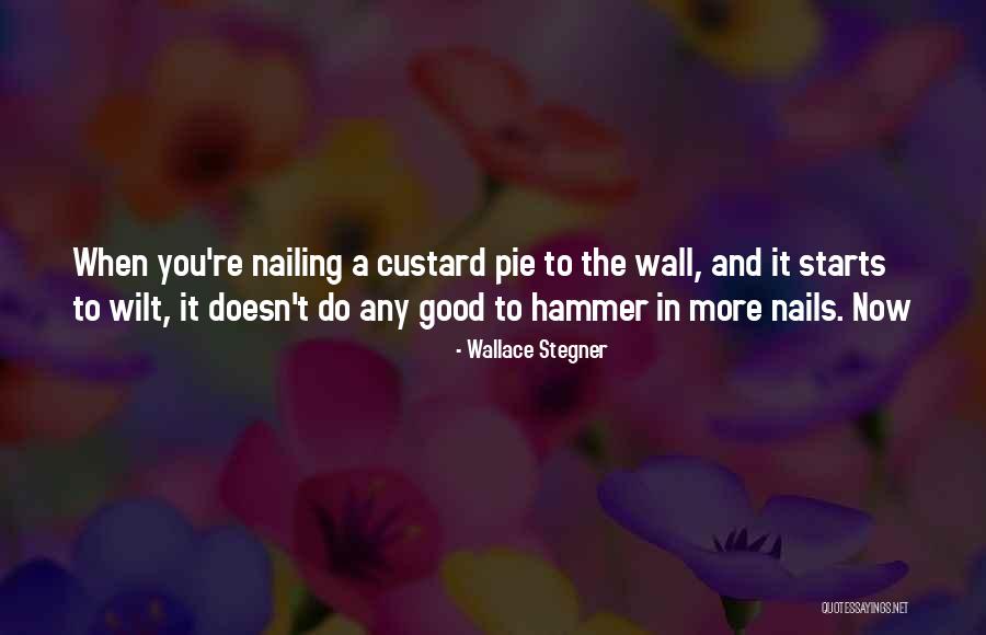 Wantto Quotes By Wallace Stegner