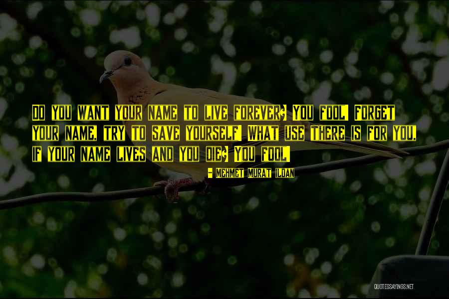Wapda Quotes By Mehmet Murat Ildan Wapda Quotes By Mehmet Murat Ildan