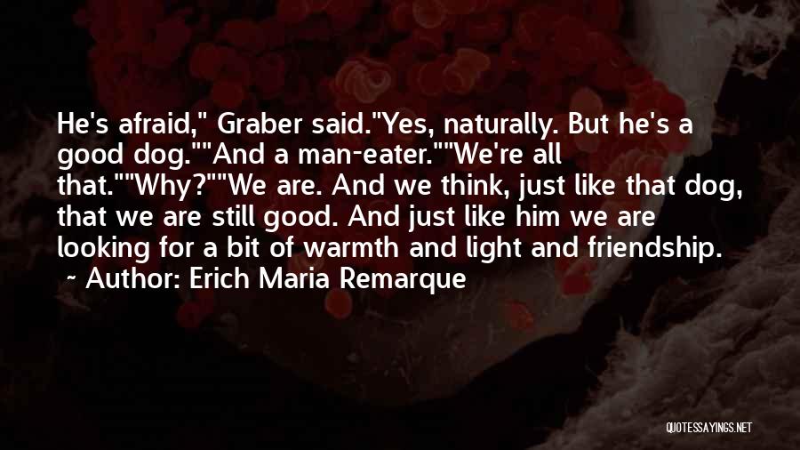 War And Friendship Quotes By Erich Maria Remarque