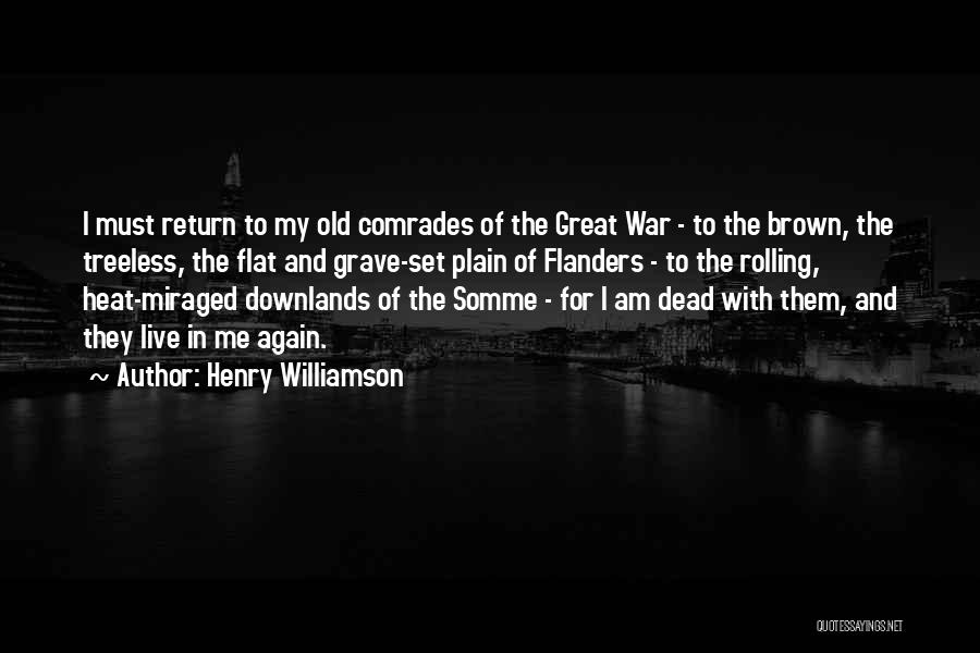 War Comrades Quotes By Henry Williamson