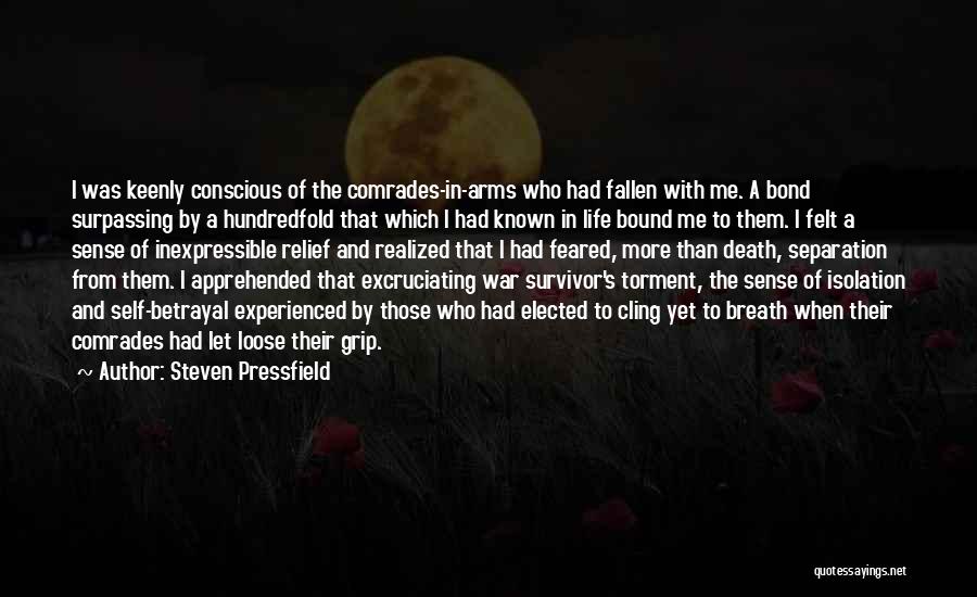 War Comrades Quotes By Steven Pressfield