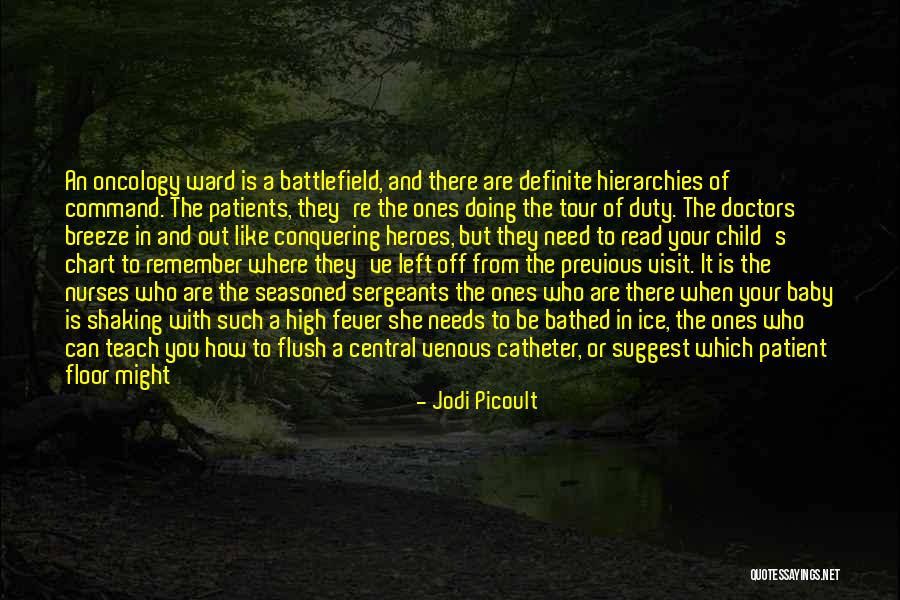 War Heroes Quotes By Jodi Picoult