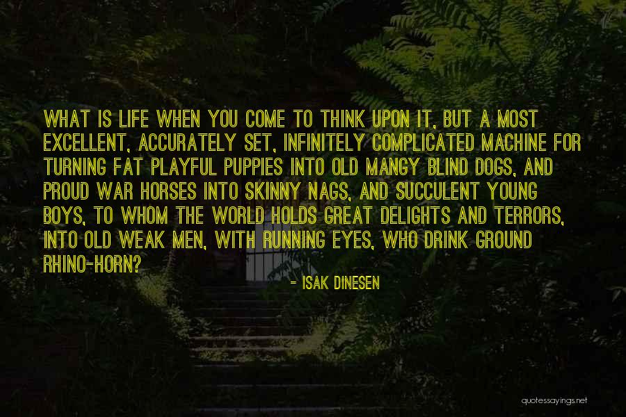 War Horses Quotes By Isak Dinesen