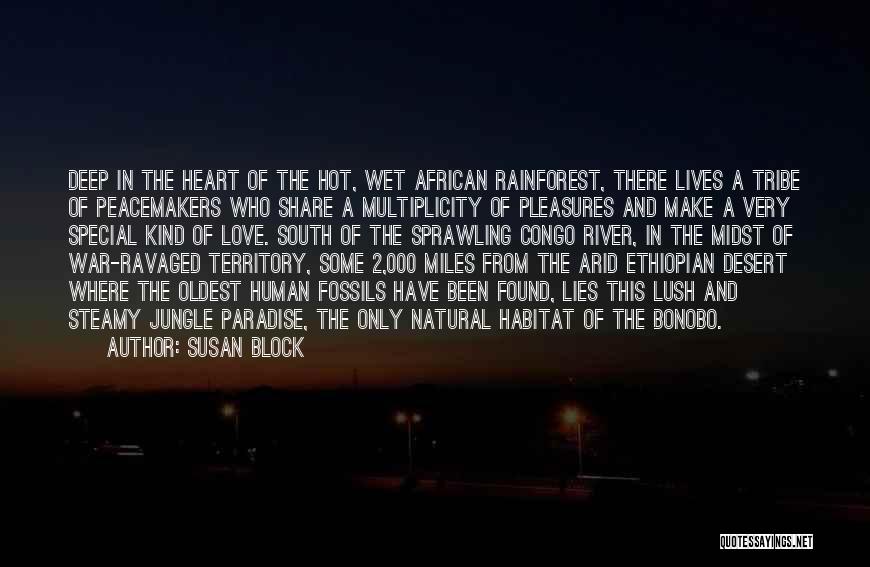 War In Africa Quotes By Susan Block