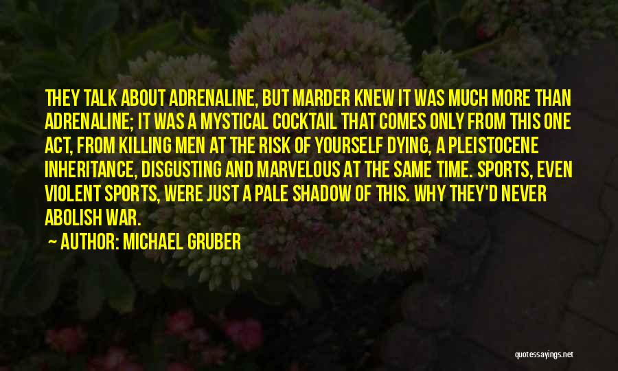 War Killing Quotes By Michael Gruber