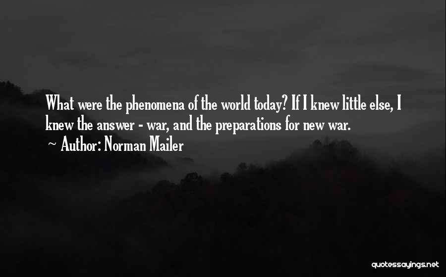 War Preparation Quotes By Norman Mailer