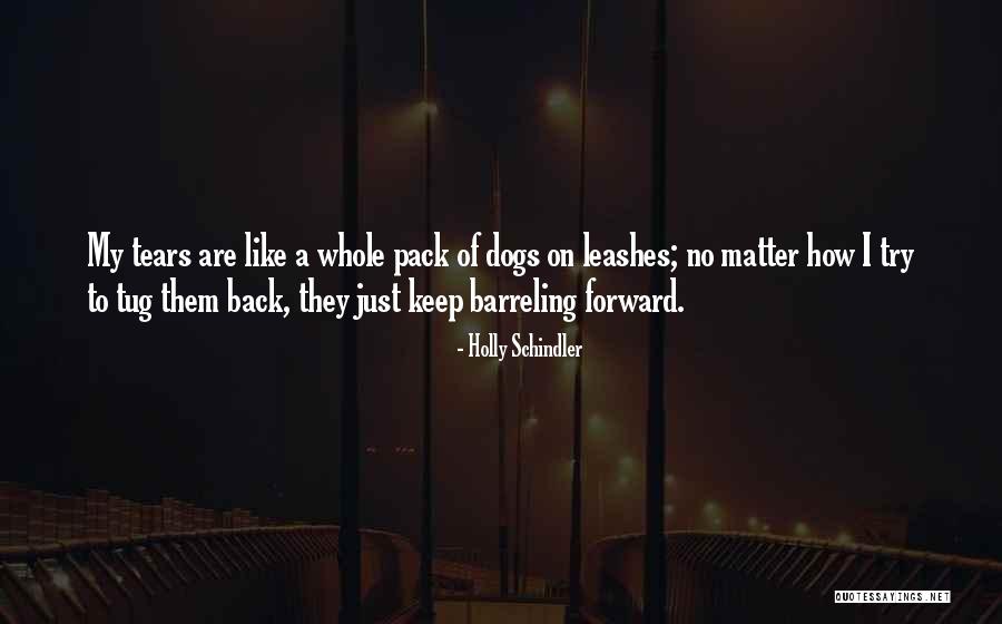 War With The Newts Quotes By Holly Schindler War With The Newts Quotes By Holly Schindler