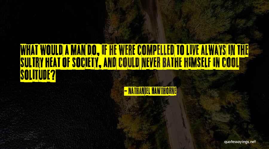 Waraire Quotes By Nathaniel Hawthorne Waraire Quotes By Nathaniel Hawthorne
