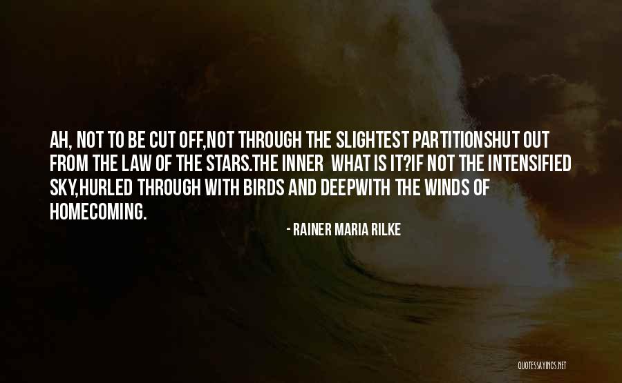 Warashi Japan Quotes By Rainer Maria Rilke Warashi Japan Quotes By Rainer Maria Rilke