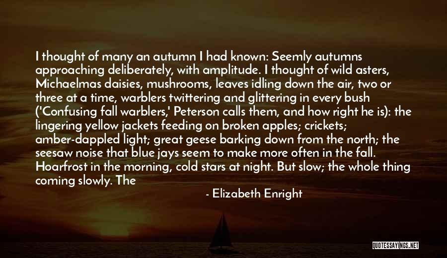 Warblers Of North Quotes By Elizabeth Enright Warblers Of North Quotes By Elizabeth Enright