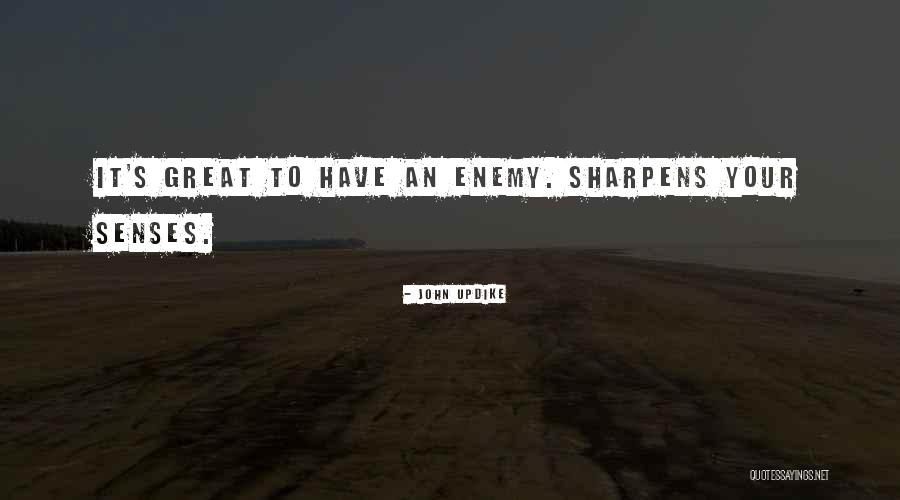 Warbles Dog Quotes By John Updike