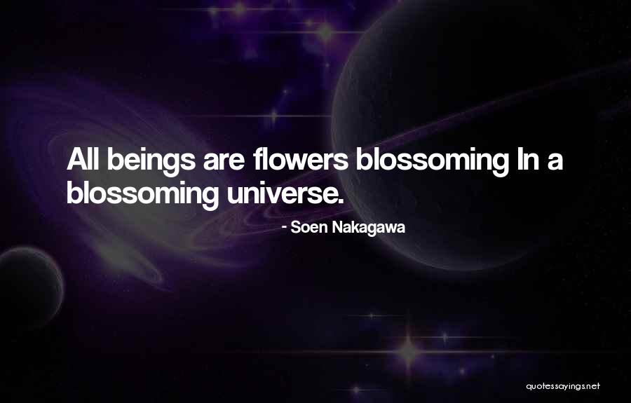 Warchal Amber Quotes By Soen Nakagawa Warchal Amber Quotes By Soen Nakagawa