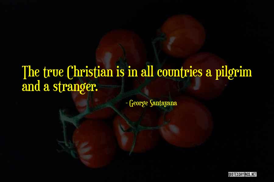 Warchol Bras Quotes By George Santayana Warchol Bras Quotes By George Santayana